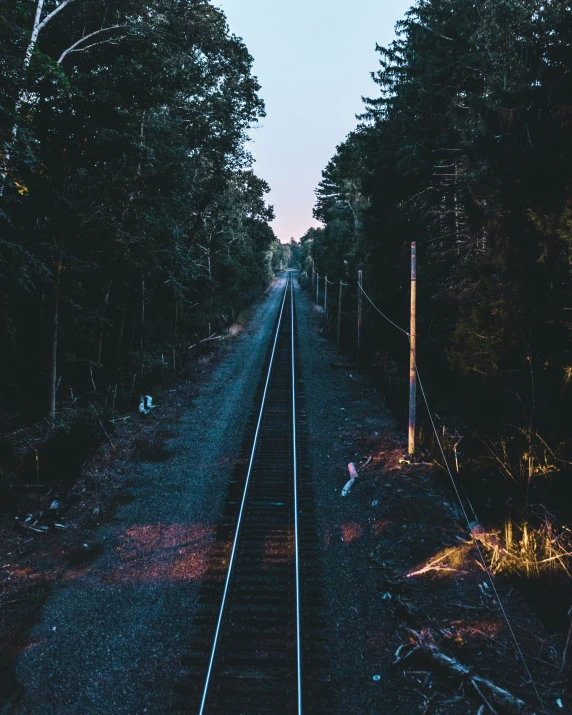 a train track goes through the woods on a dark day