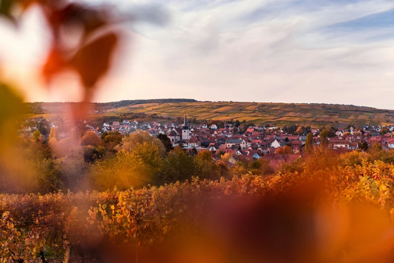 the view from an autumn afternoon looking out on a town