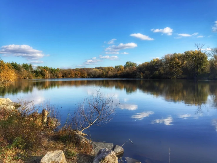 a lake is surrounded by several trees and rocks