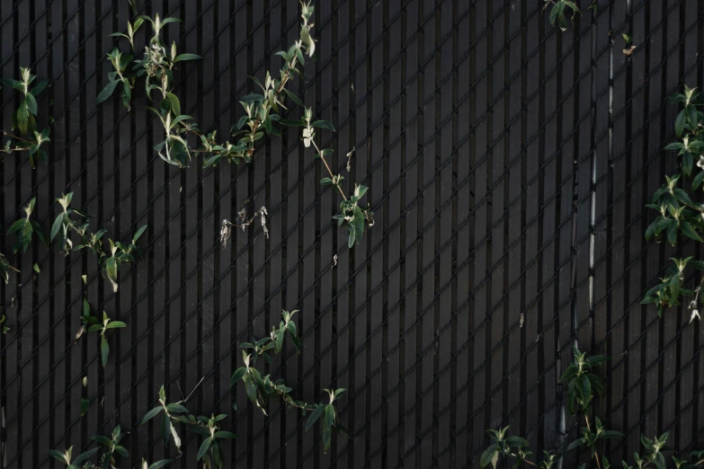 a bench and some plants on a dark street