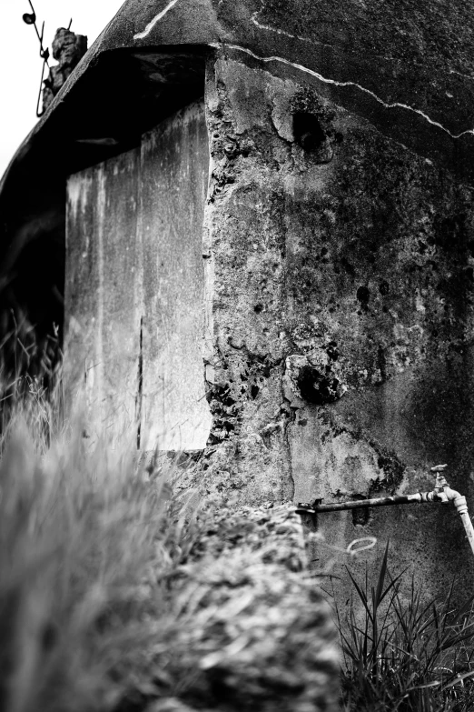 a bird sitting on top of the side of an abandoned building