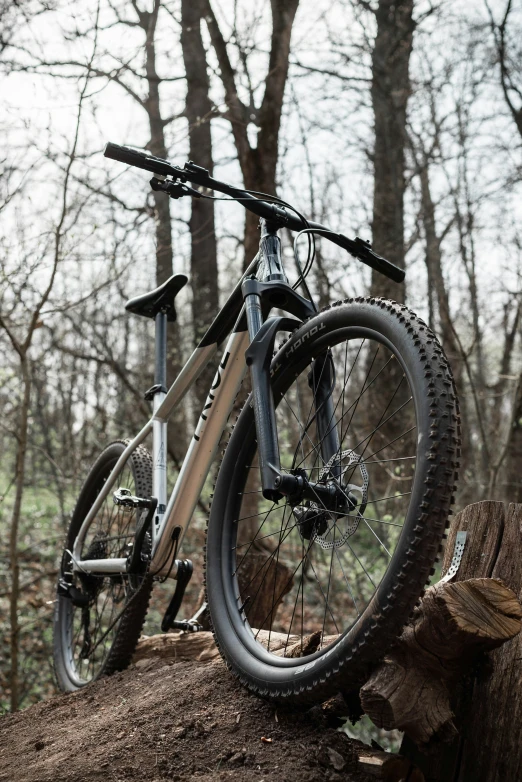 a bicycle that is sitting on a tree stump