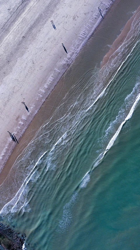 people stand in shallow waters at the edge of the beach