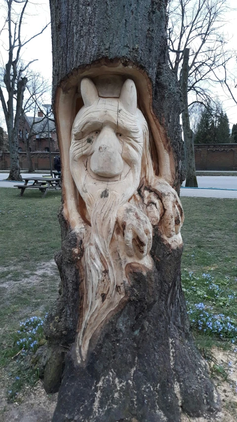 a carving is shown in the center of a tree trunk