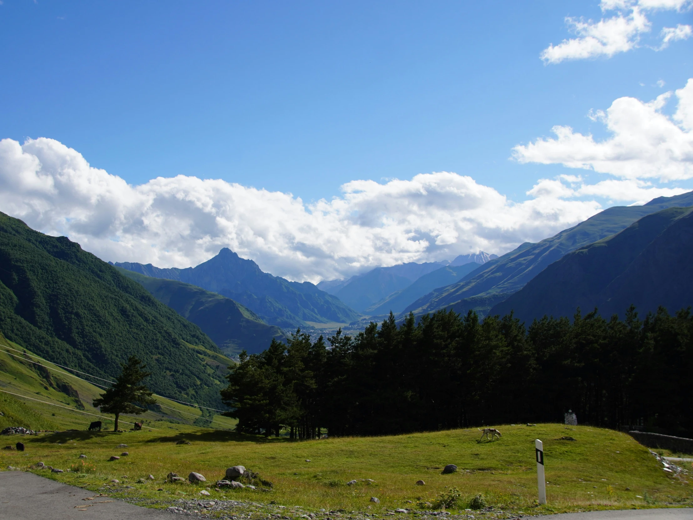 a field near the mountain in front of clouds