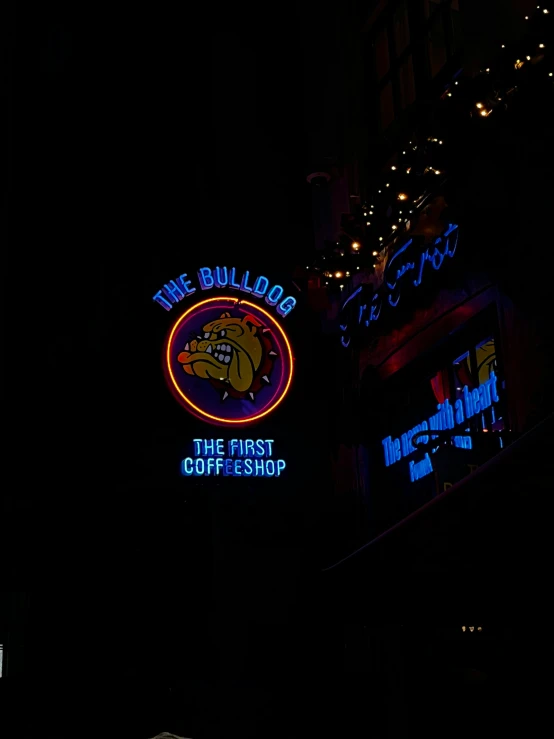 a neon sign for the bull dog coffee shop at night