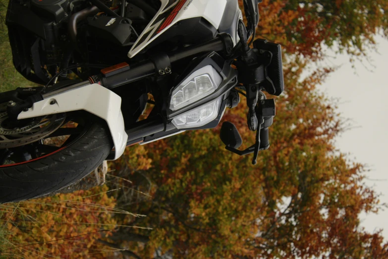 motorcycle sitting parked on grass in front of trees