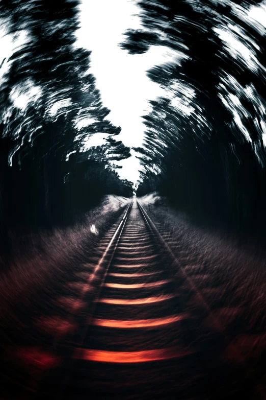 trees are seen moving through the distance along the train track