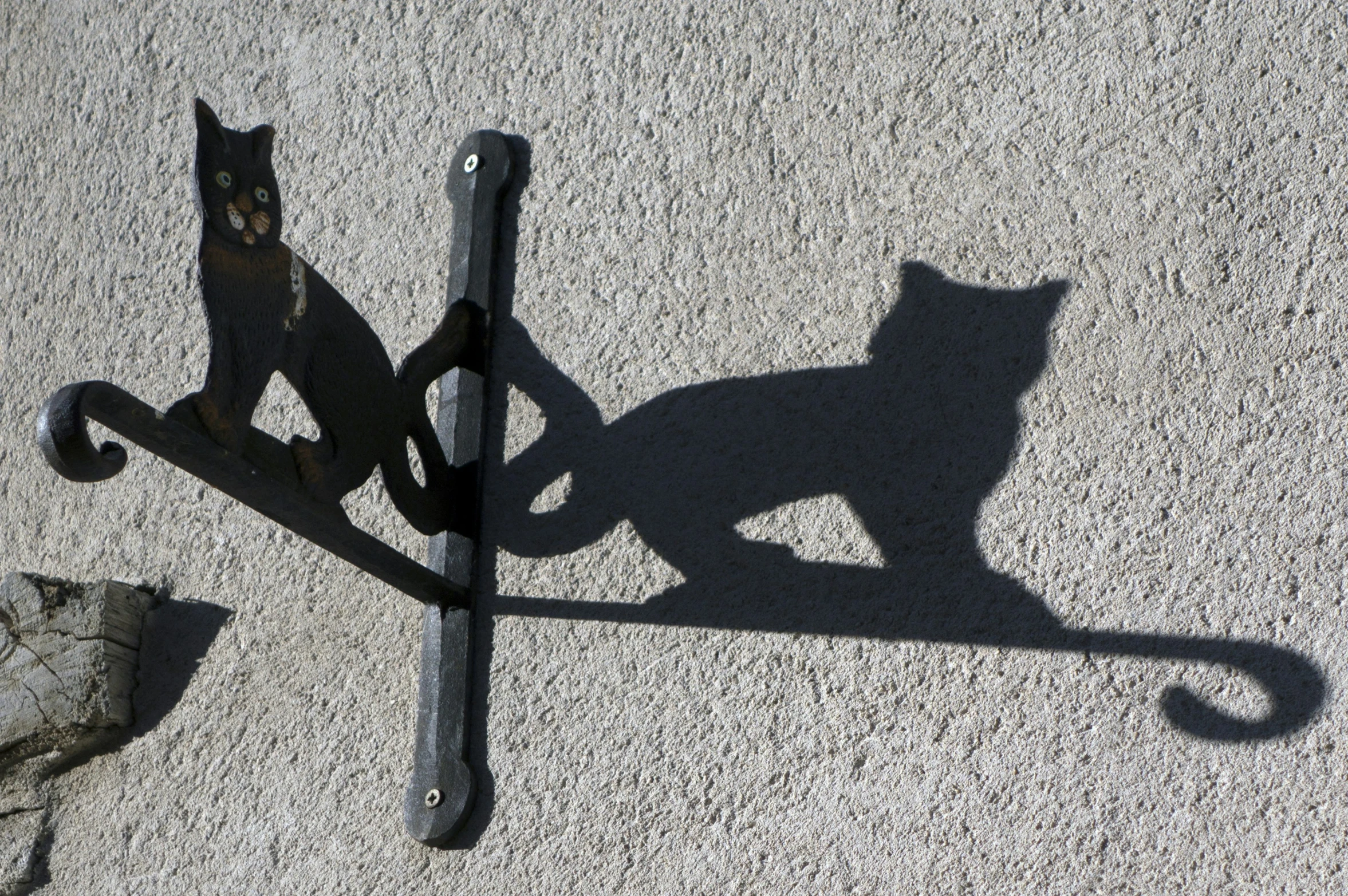 two black cats walking around on the cement