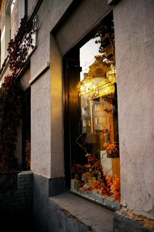 a building's reflection with plants growing inside