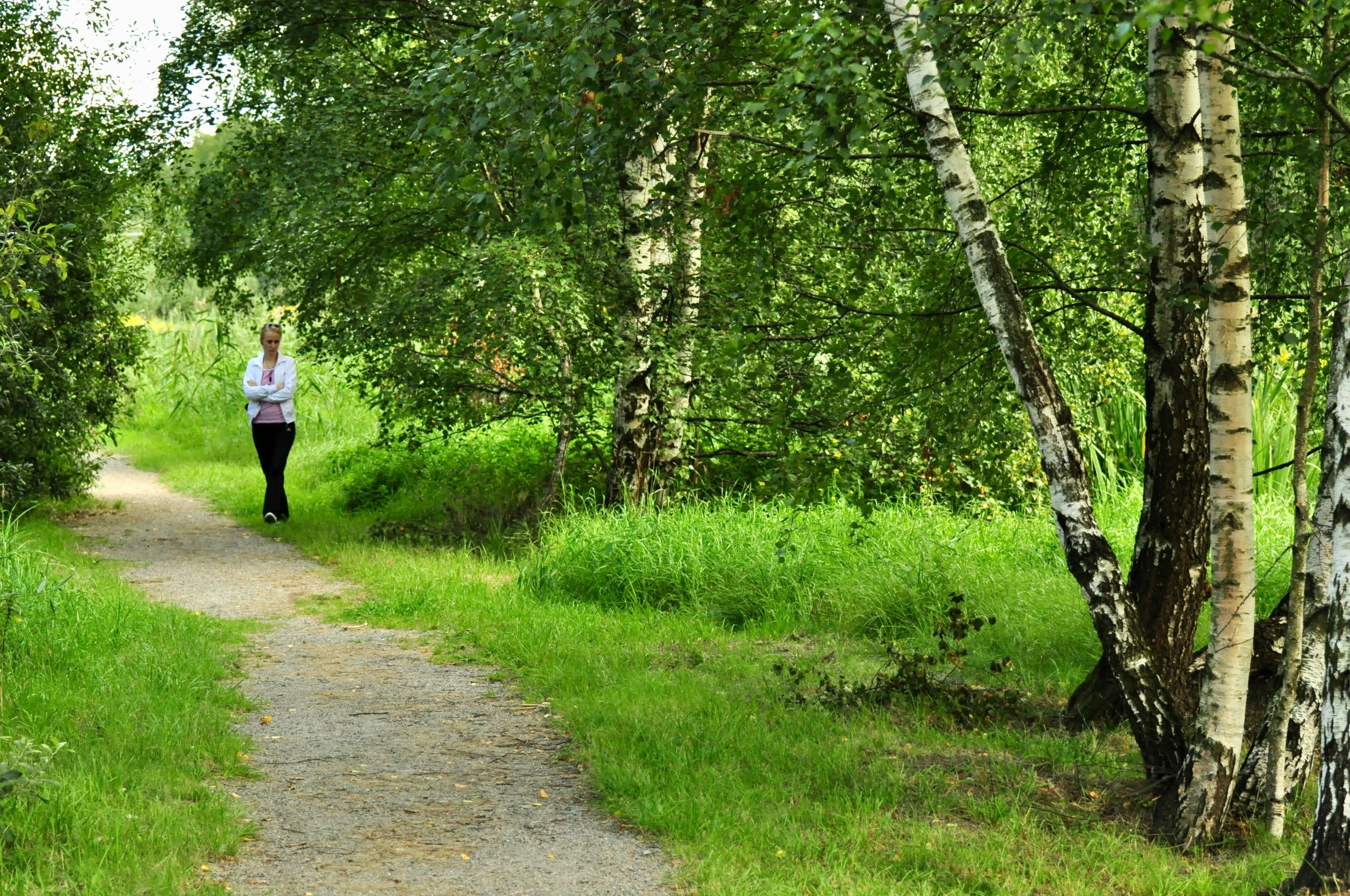 the woman is walking down the trail in the woods