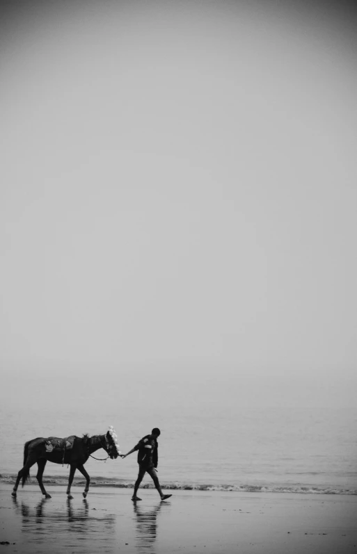 two horses walking along a beach next to the ocean