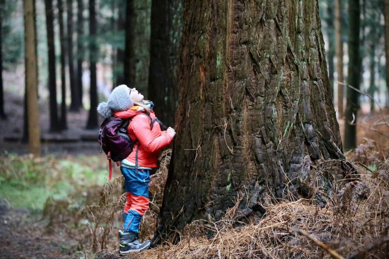 two people wearing coats and holding onto a large tree