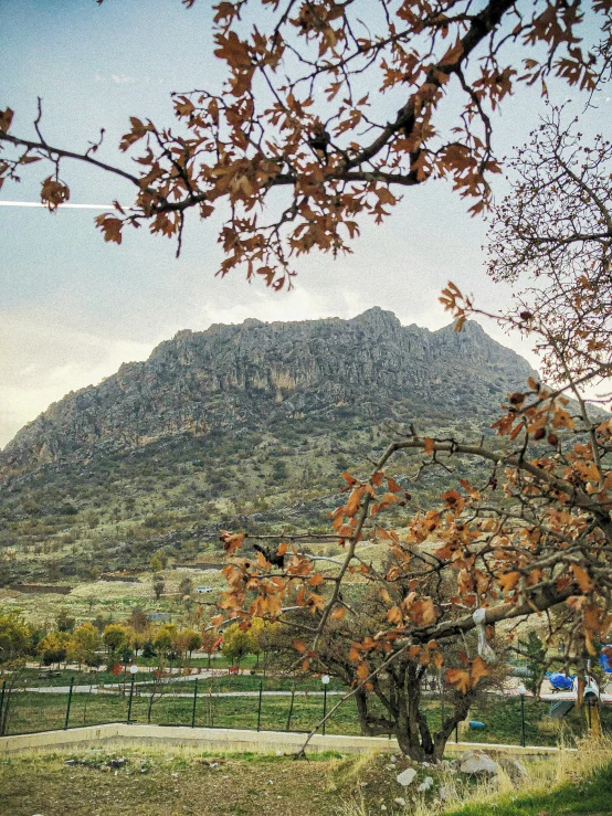 two sheep grazing on green grass in a field next to a mountain