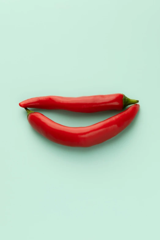 a single long  pepper with a green background