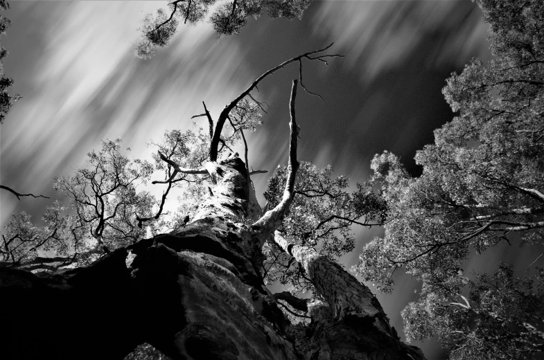 a dark night sky with some clouds over a tree