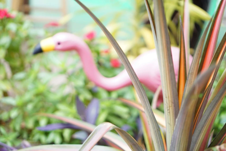 a flower pot with plants and two flamingos