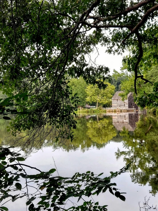 a view over a lake from behind the tree nches