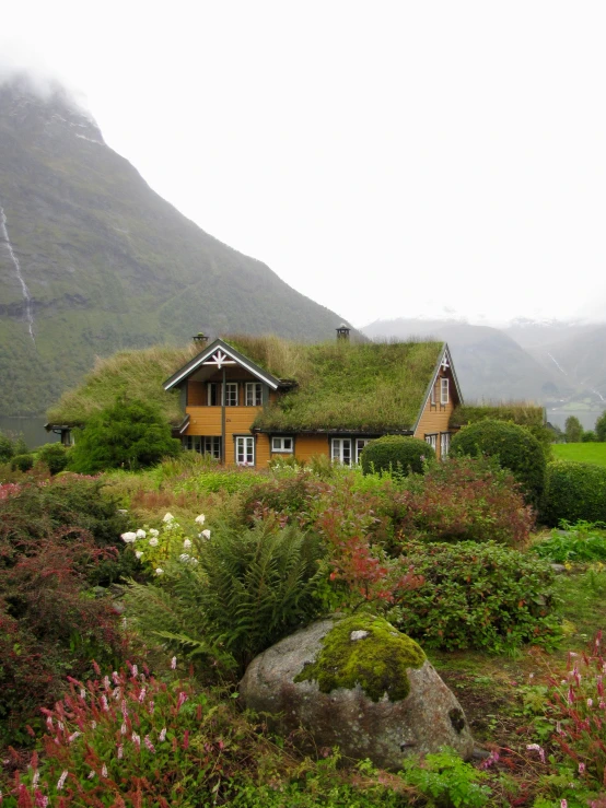 a house that has grass on the roof and a large rock in the middle