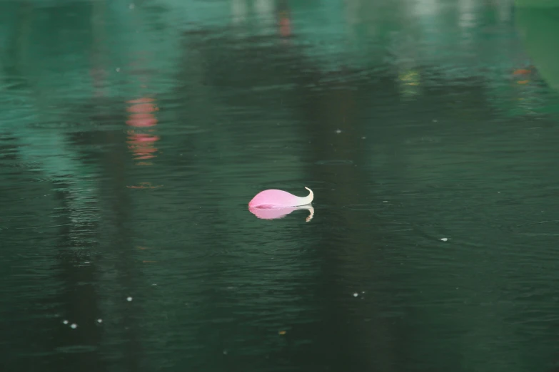 a pink object floating in the water next to trees