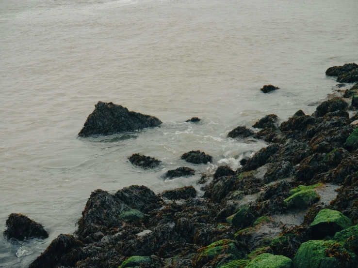 a body of water with rocks and grass on the edge of it