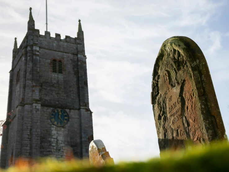 two heads of ancient looking grass decorations, with a tower in the background