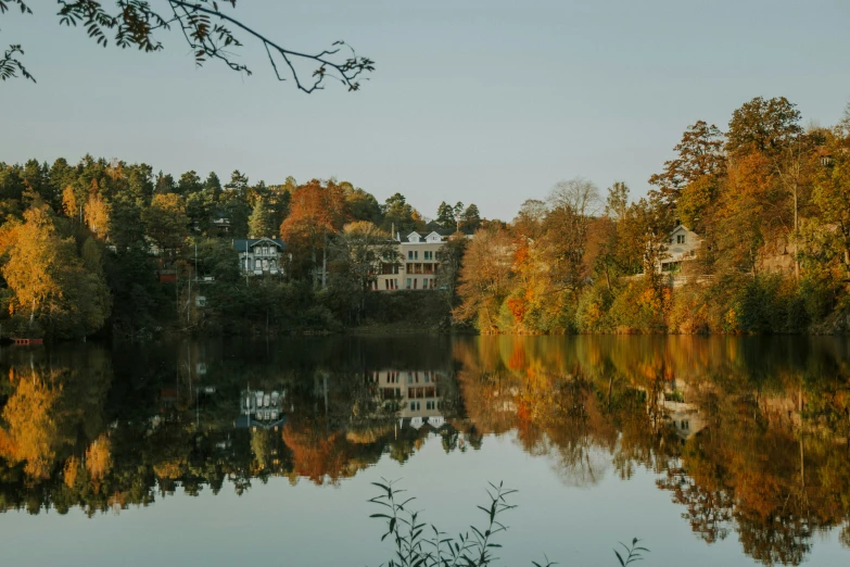 trees reflecting in the water with a building in the distance