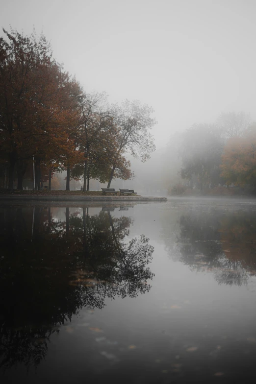 a misty lake surrounded by tall trees