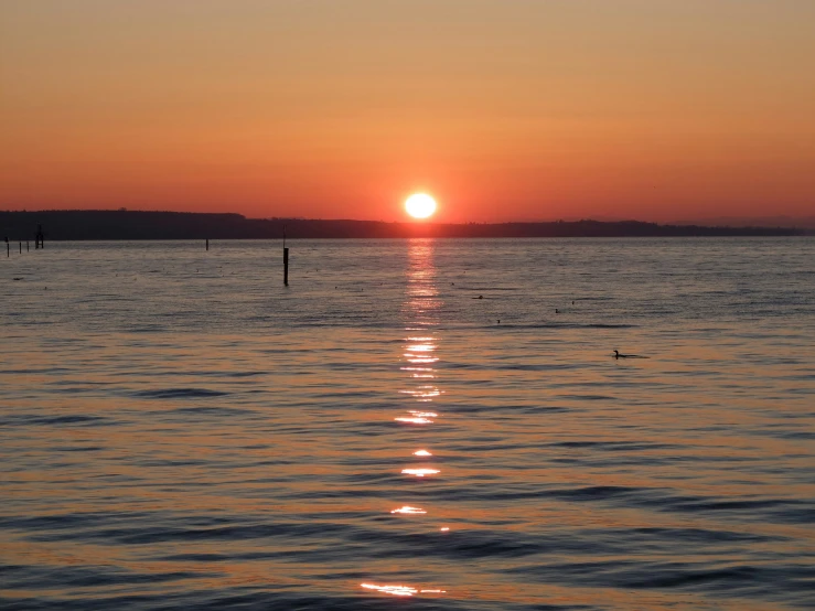 the sun is setting on the ocean with ducks swimming