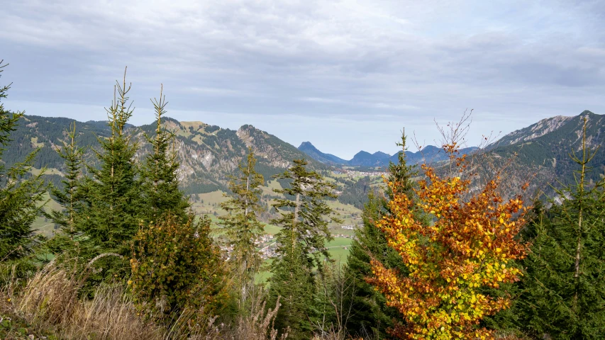 the mountains and valleys near a forest