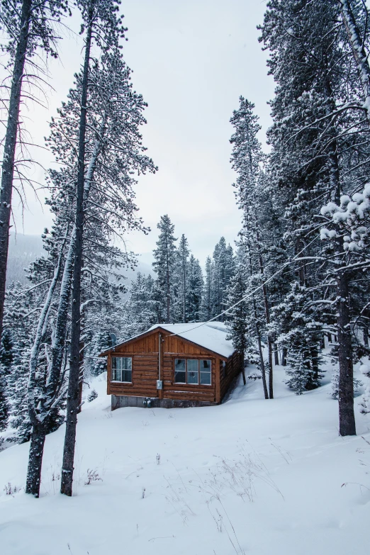 a small cabin sits in the snow near some pine trees