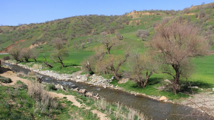 a river with a few trees by a hill