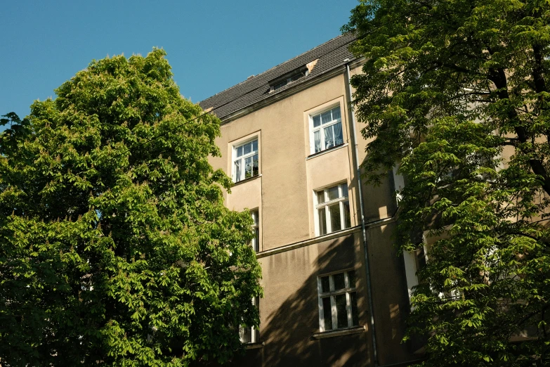 a tall building is shown through the trees