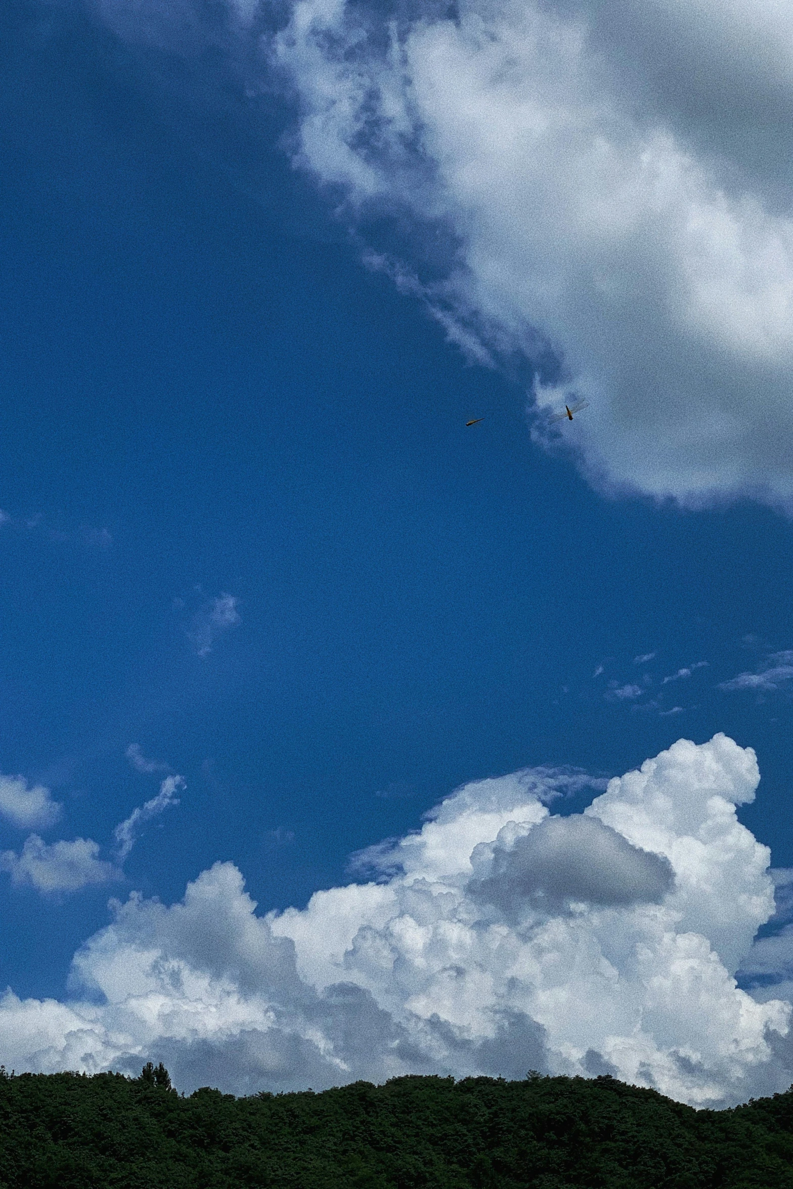 a person walking along the hill in a blue sky