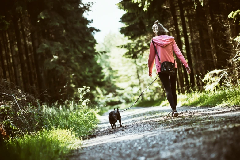 a person walking her dog in the forest