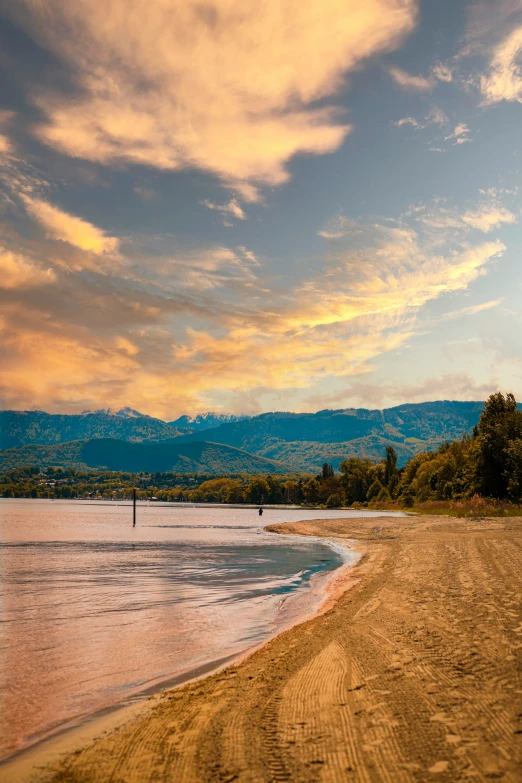 a sandy beach with a tree in the distance