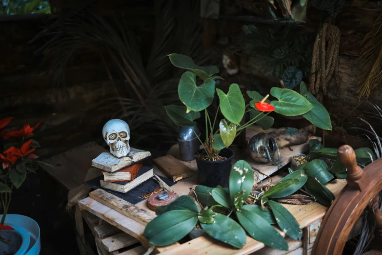 the wood table has a skeleton fig on it with lots of leaves