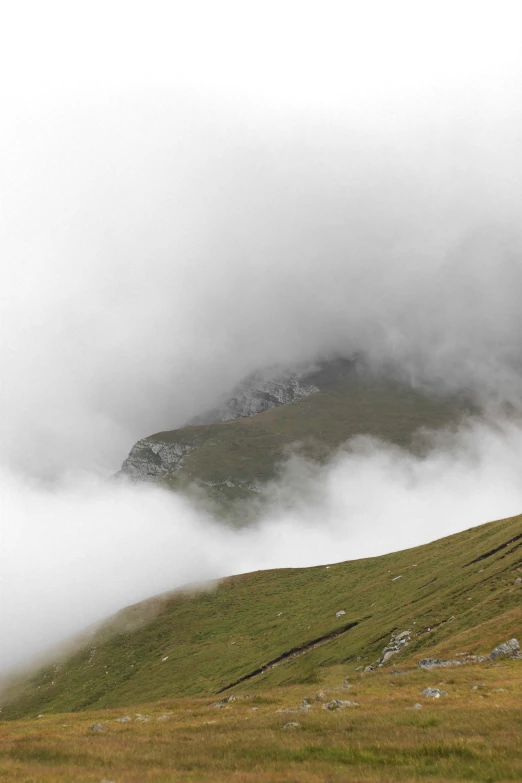 three sheep grazing on grass below a mountain