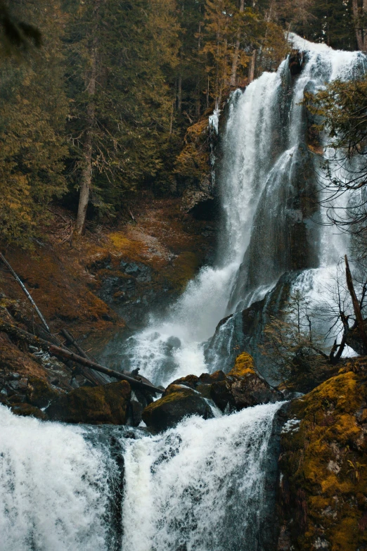 a man on top of a waterfall in the forest