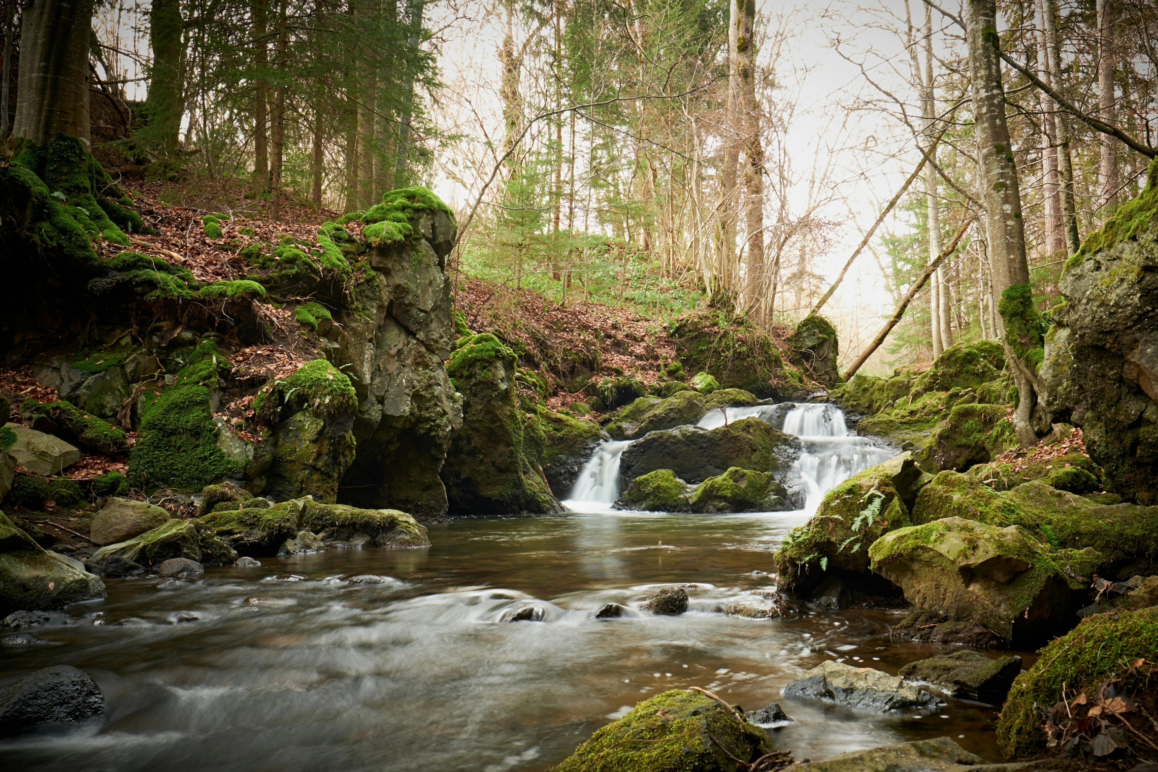 a small waterfall that is running through the forest