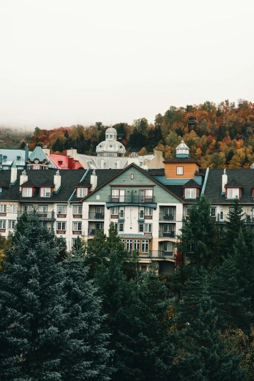 many homes with red and blue roofs in a forested area