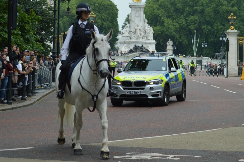 a police horse is on the street as cars pass by