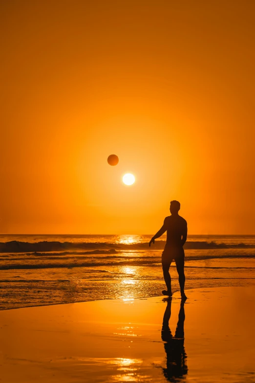 a person and their dog playing on the beach