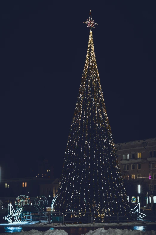 a very large christmas tree is lit up at night