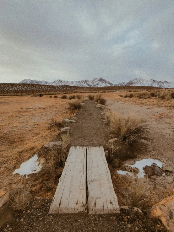 an old wooden plank laying in a field