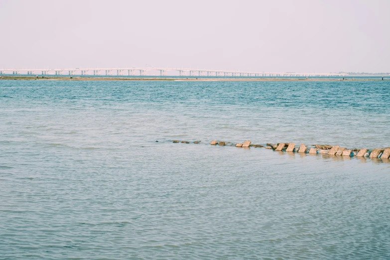 the large body of water has a bridge in the background