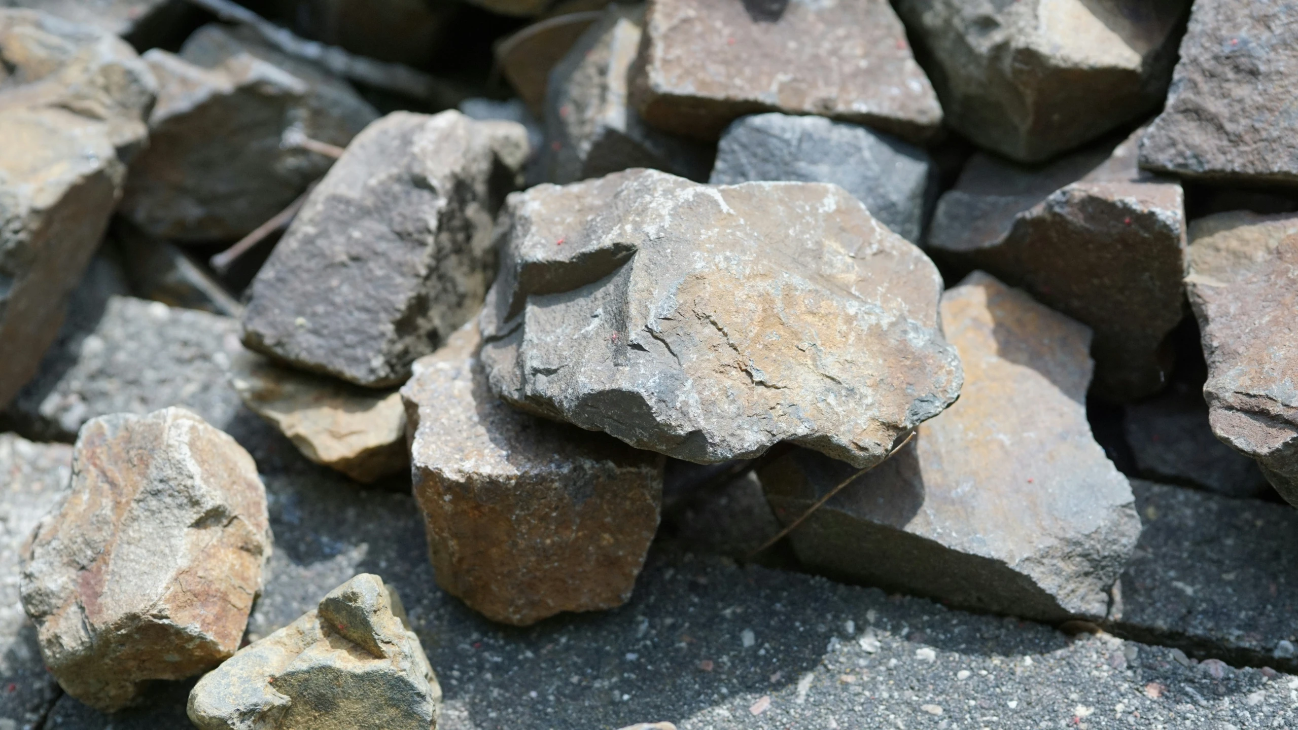 a closeup of rocks from the rocky terrain