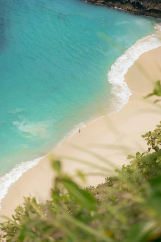 an airplane flying over a beach near the ocean