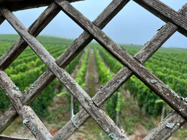 an old wooden trellis on top of a field