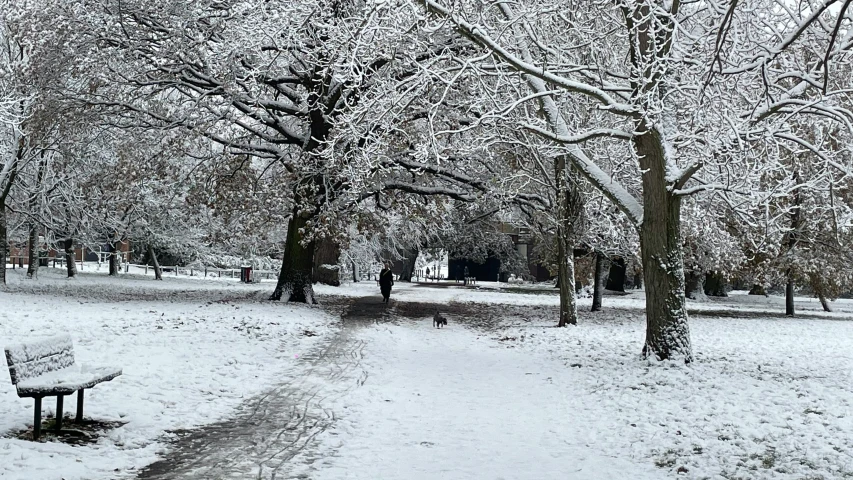 the path through the snowy park has benches near by